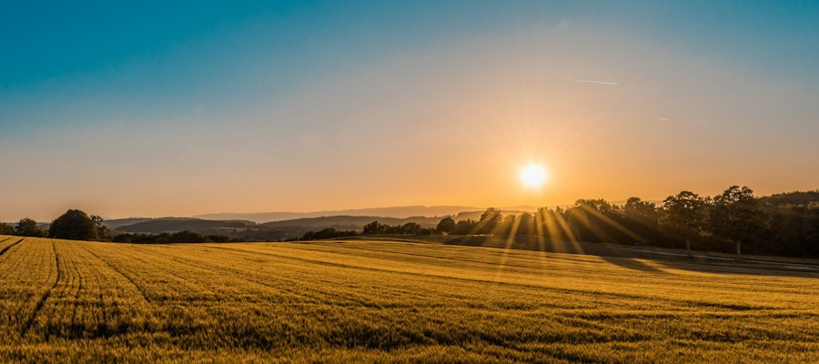 Rolling green hills and farmland under a warm tropical sky