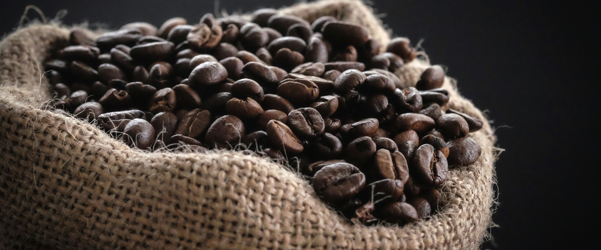 Lush green coffee plantation on a mountainside