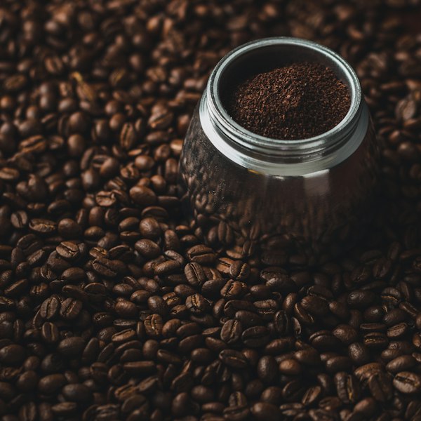 Pignon Morning Light - Light roast Haitian coffee by Cafe Pignon
